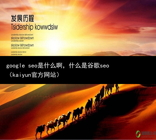 google seo是什么啊，什么是谷歌seo（kaiyun官方网站）(图1)