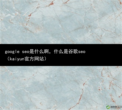 google seo是什么啊，什么是谷歌seo（kaiyun官方网站）(图3)